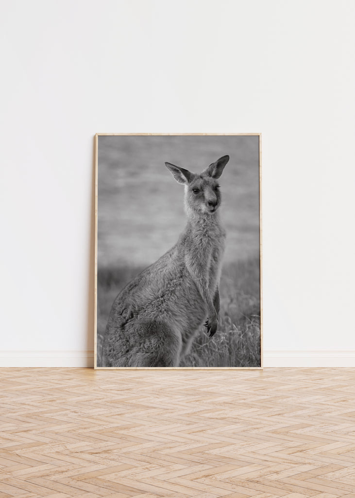 Kangaroo Print Wall Poster