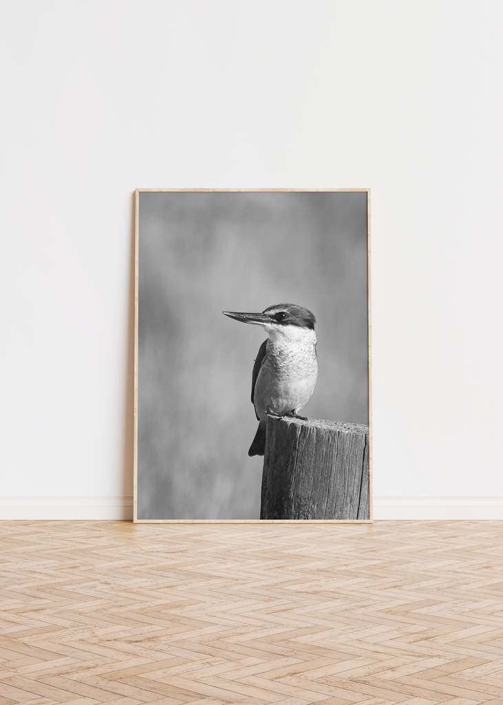 Kingfisher Wall Art 