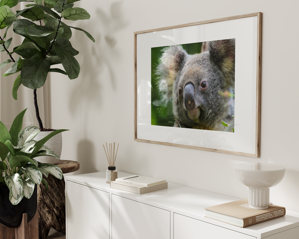 Koala Bear Print Poster 