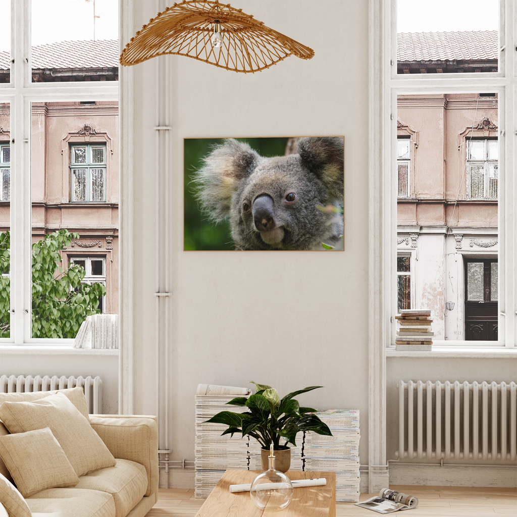 Koala Bear Print Poster 