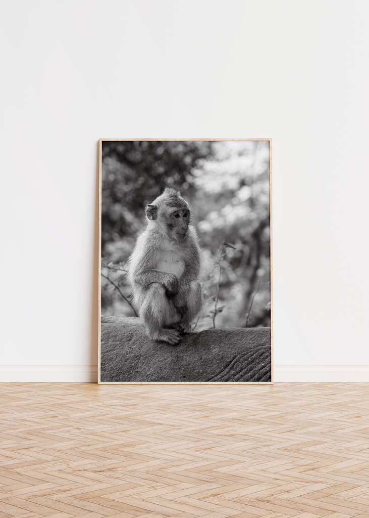 Monkey On A Tree Poster 